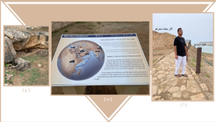 A collage of a stone path

AI-generated content may be incorrect.