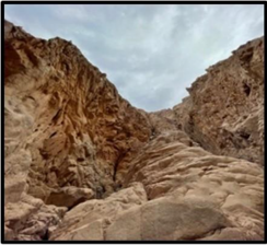 A close-up of a rocky cliff

AI-generated content may be incorrect.